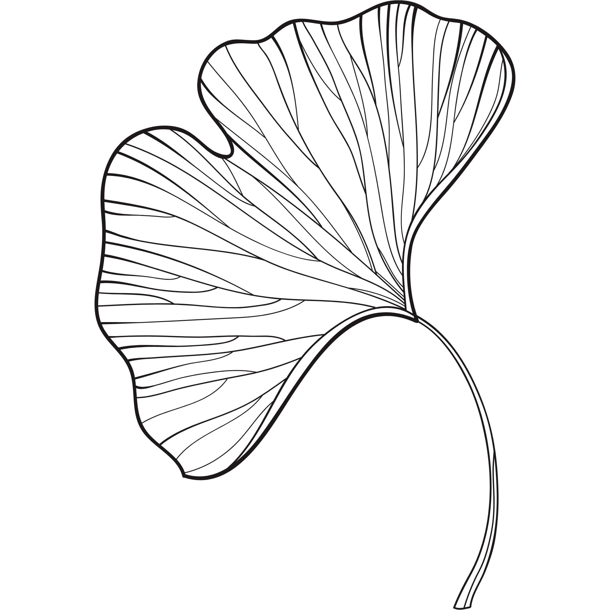 Decorative ginkgo leaf illustration in a minimalist botanical style